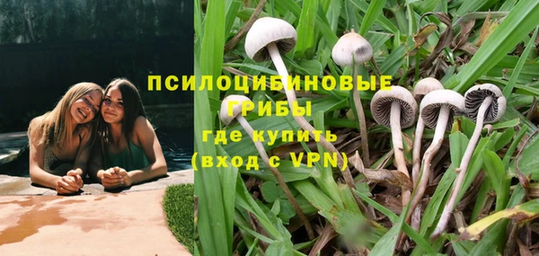 a pvp Абинск