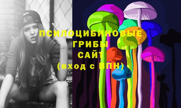 стафф Абдулино